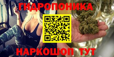 каннабис Гусев