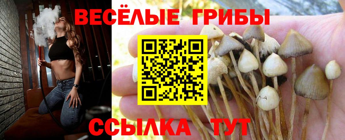 Галлюциногенные грибы мицелий  Вход с VPN  Медногорск 